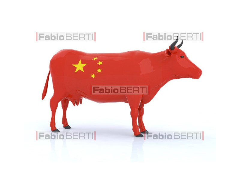 mucca Cina