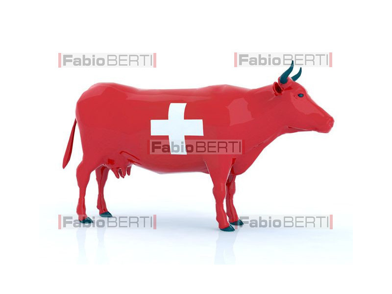 mucca Svizzera