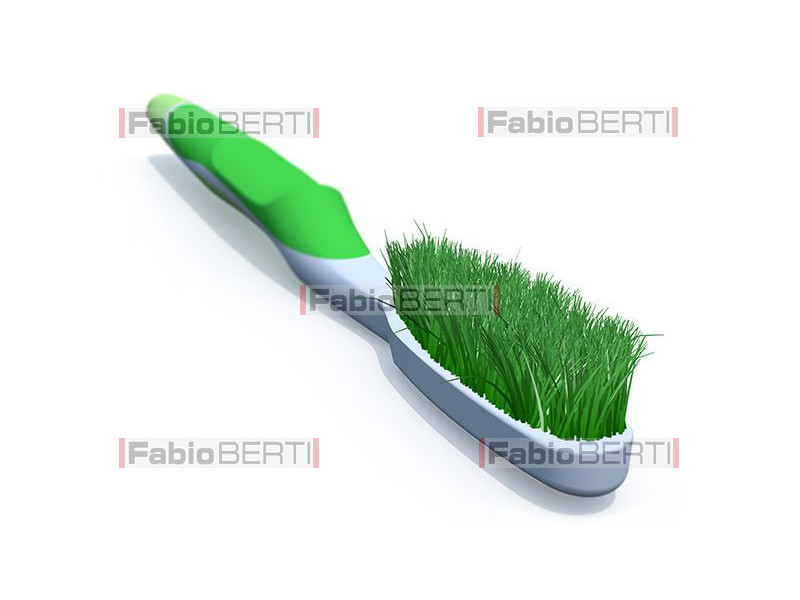 spazzolino con erba