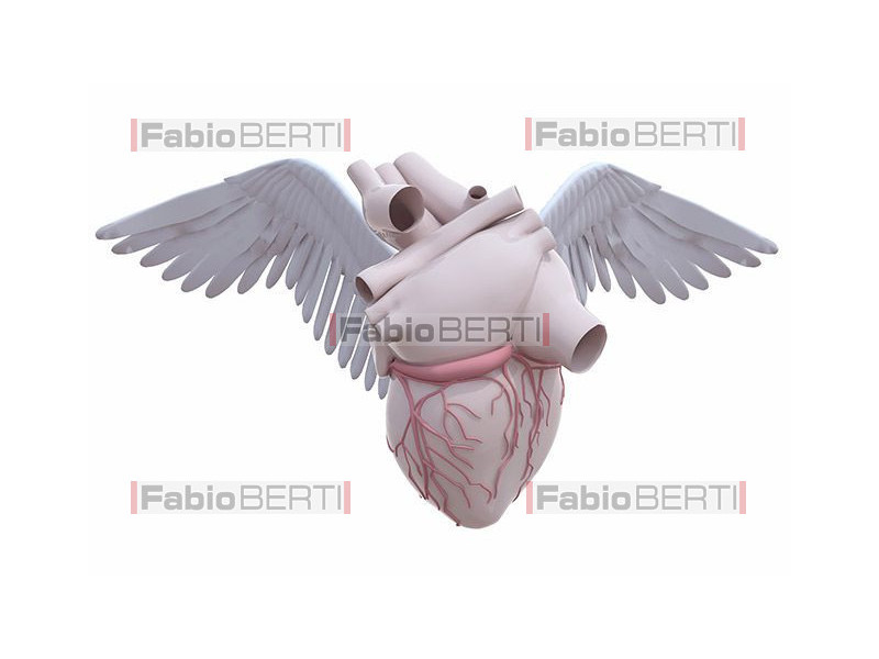 heart with wings 2