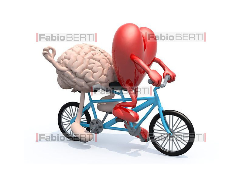 heart and brain on a tandem