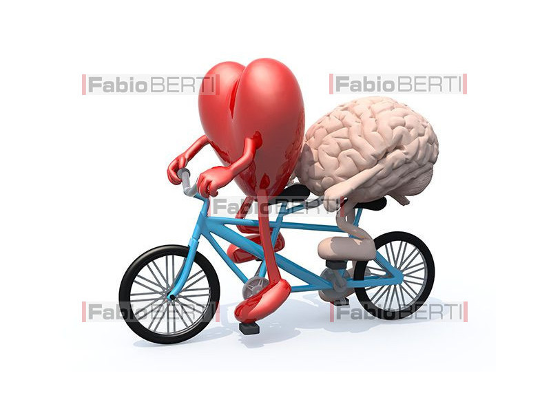 heart and brain on a tandem 2
