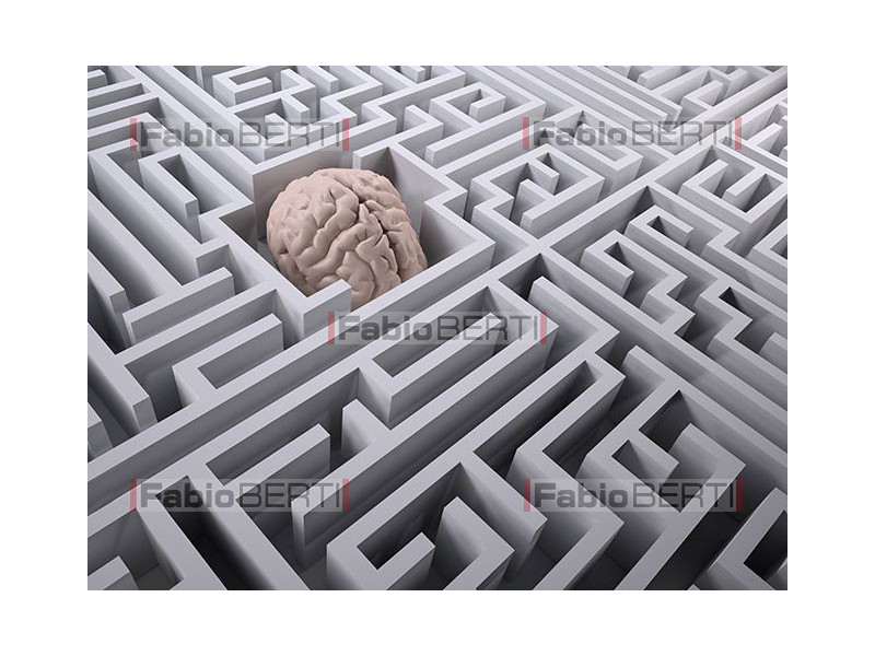 labirinto cervello