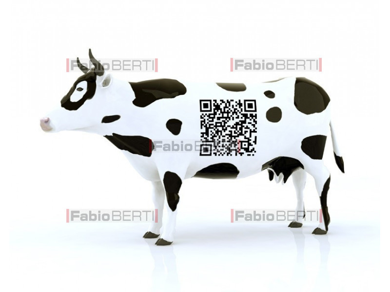 cow with qr barcode 