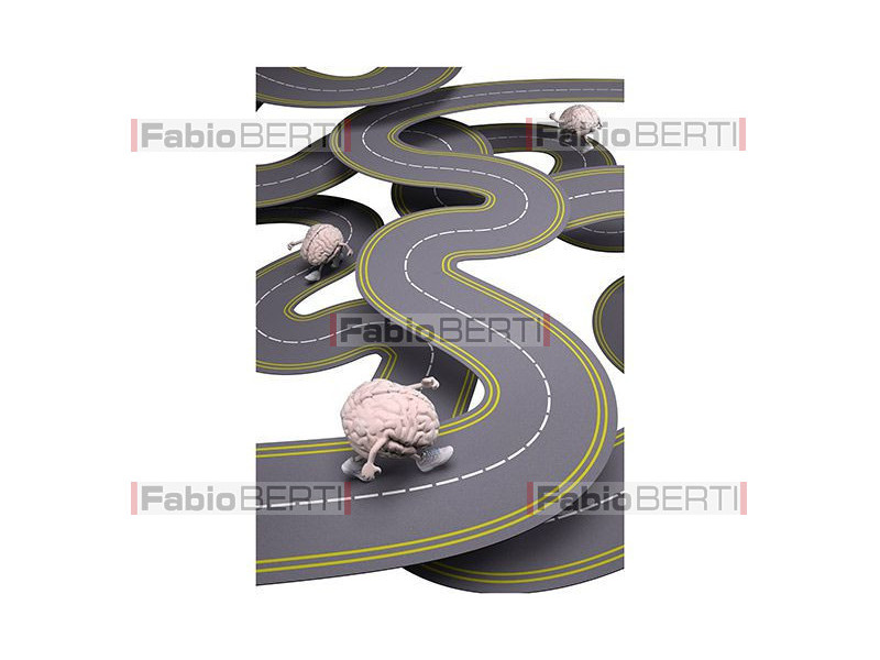 brains running on a roads