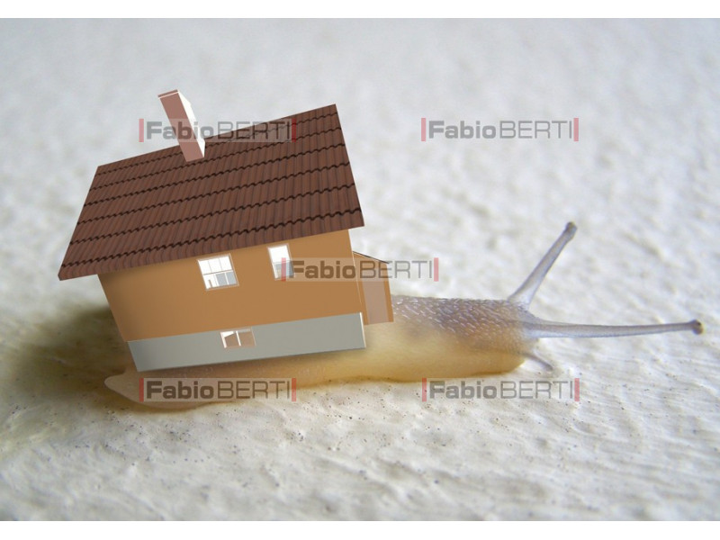 snail with house