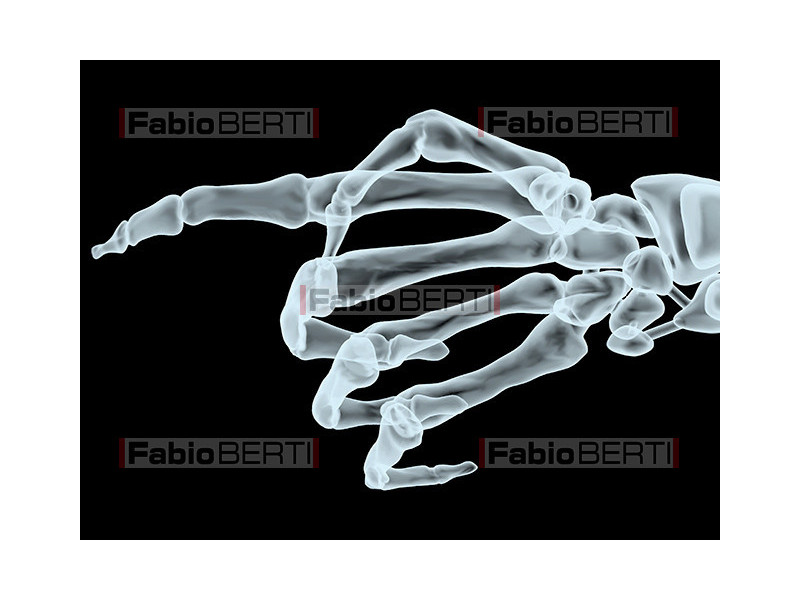 X-ray hand pointing