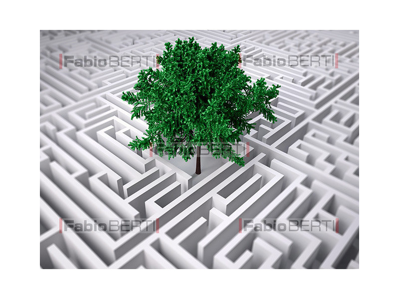 labirinto e albero