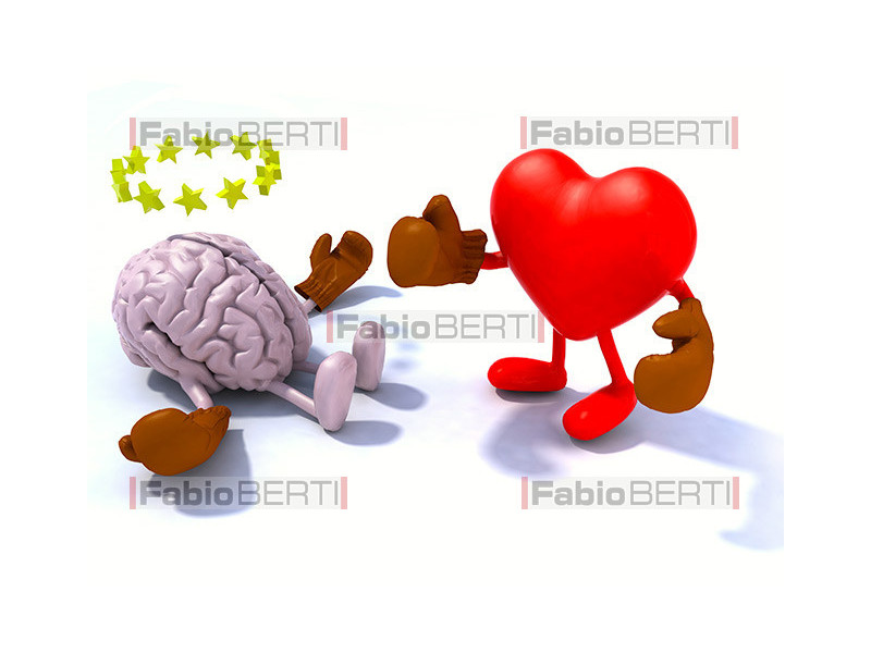 brain and heart boxing
