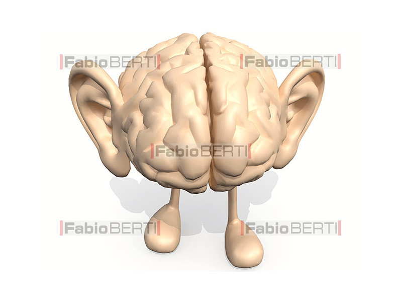 cervello con orecchie