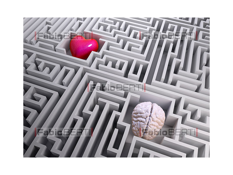 labirinto cuore e cervello