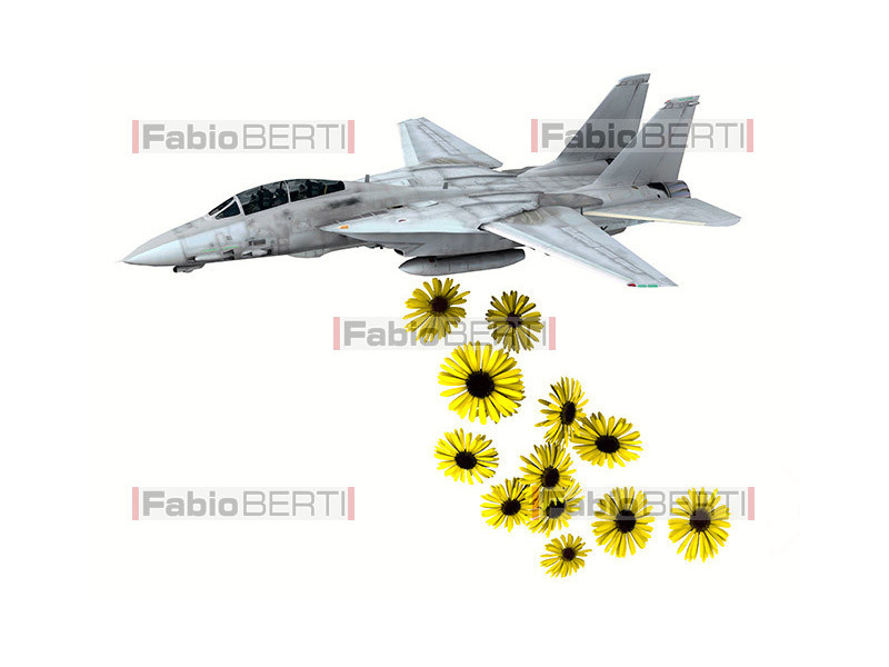 warplane that launches flowers