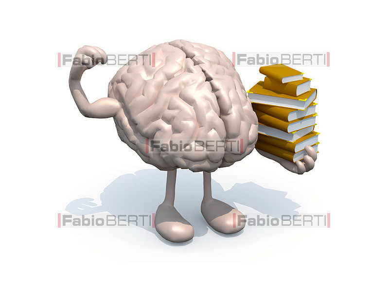 brain with book and muscle