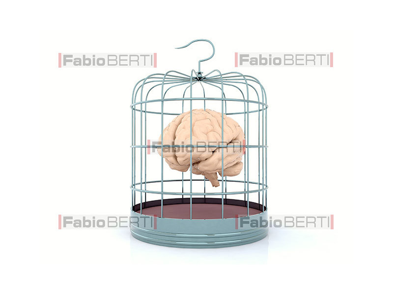 brain in a cage for birds