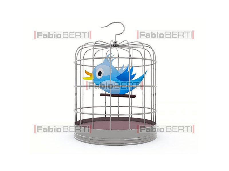 uccellino in gabbia