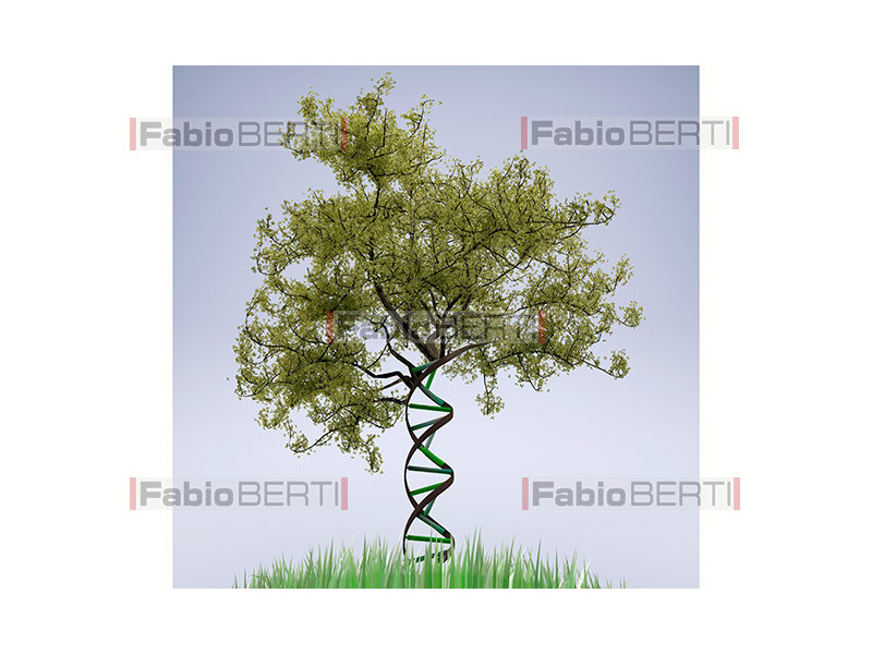 DNA pianta