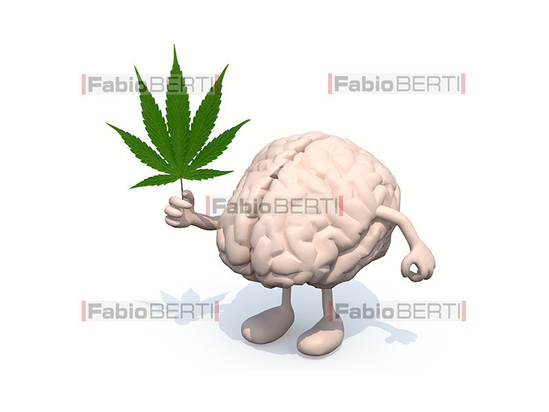 brain with marijuana leaf