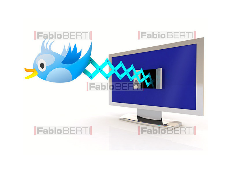 screen cuckoo