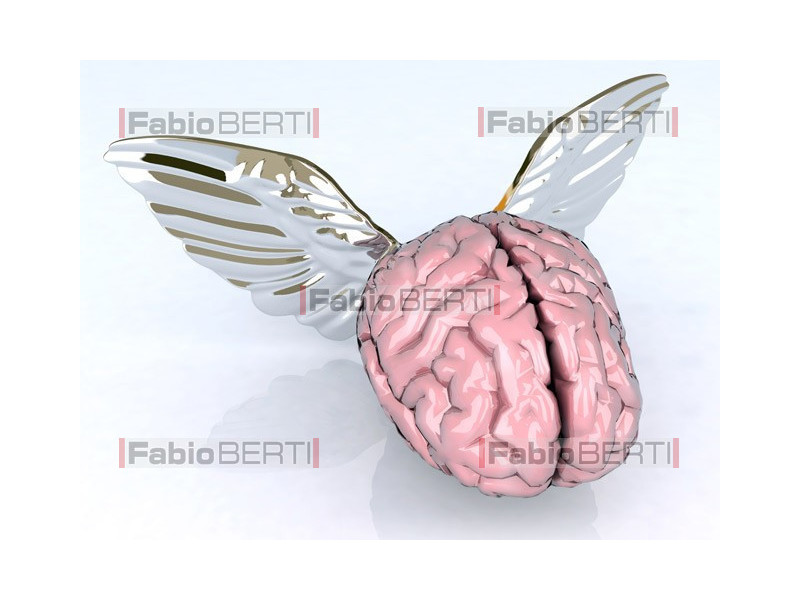 brain with wings