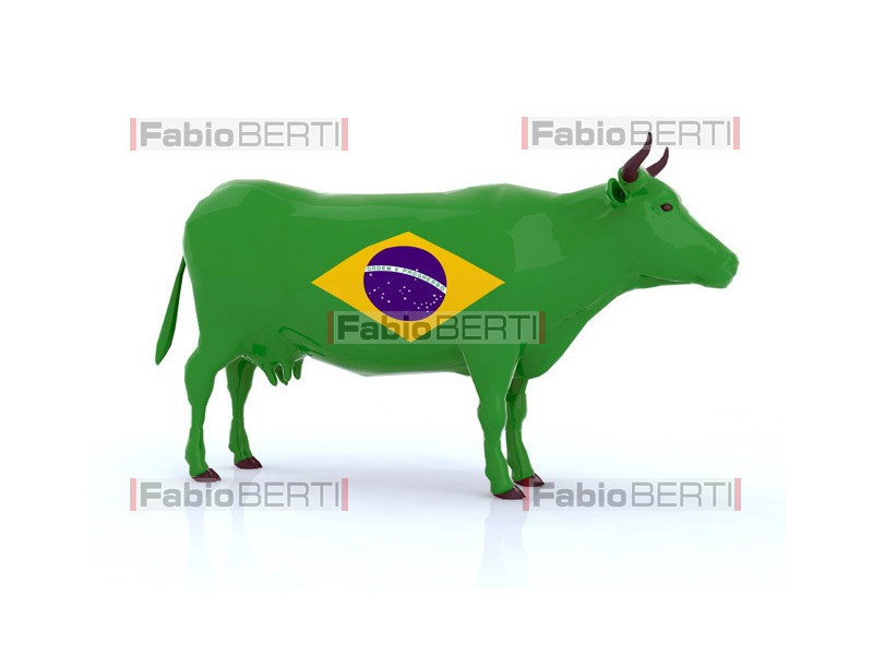 Brazilian cow