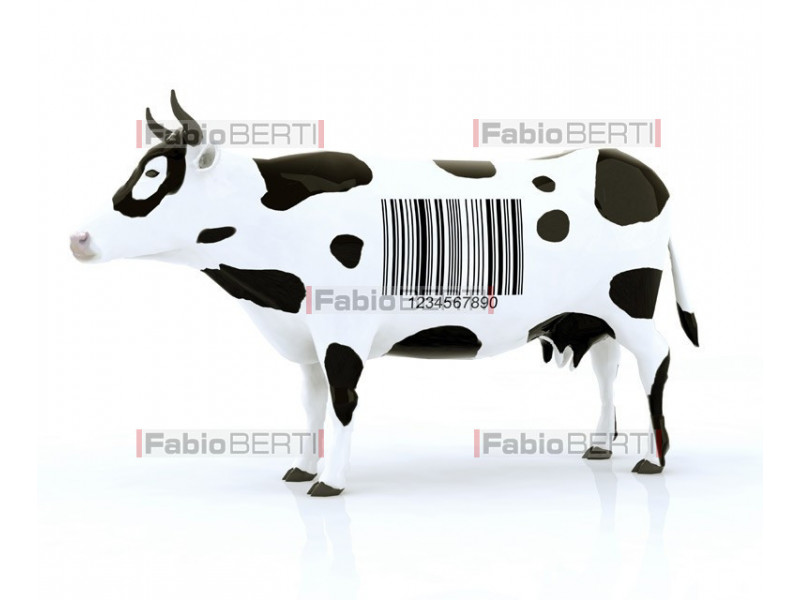 cow with barcode