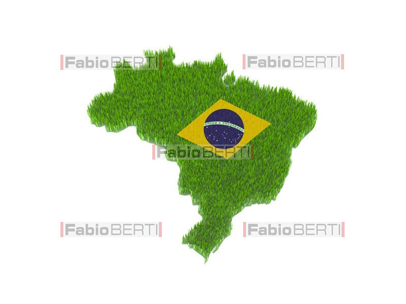 Brazil symbol